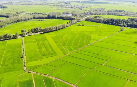 农业农村经济持续向好 助力稳物价保民生