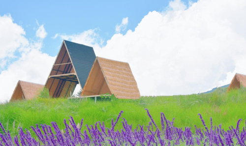 20220724193152452.jpg 微信图片_20220724192851.jpg