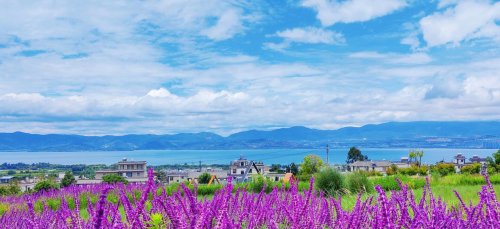 20220724193210690.jpg 微信图片_20220724192856.jpg