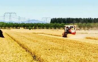 2022年北京夏粮总产量9.6万吨，比去年增长近4成