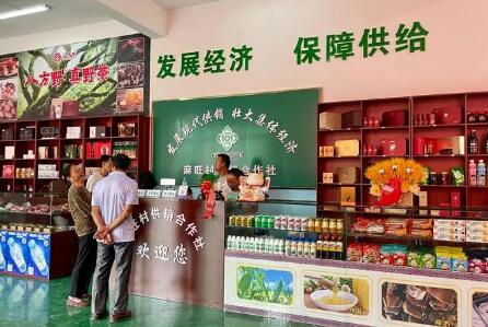 全国供销合作社系统上半年销售总额29417.1亿元