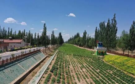 宁夏：深入推进乡村建设行动 部署14项重点任务