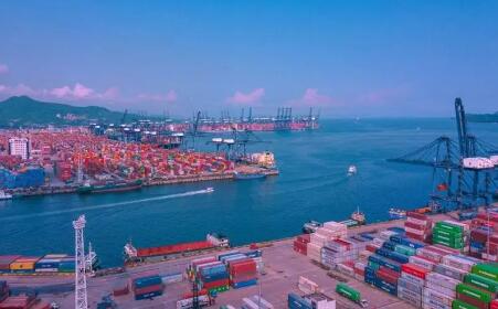 大湾区组合港累计开通线路21条 吞吐量超24万标箱