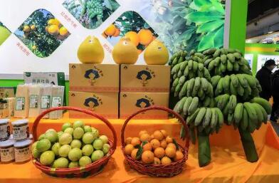 广西加快农产品流通体系建设 解决销售堵点、难点问题