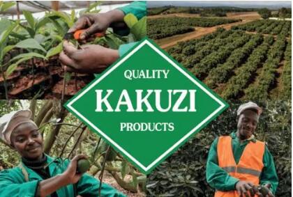 新鲜牛油果折射中非合作新动能