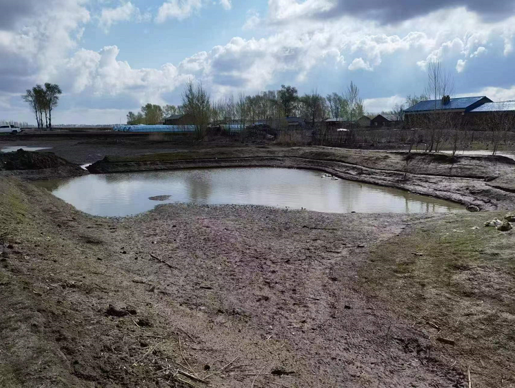 黑龙江省富裕县：“废弃坑塘”变身“稻香满塘”促增收