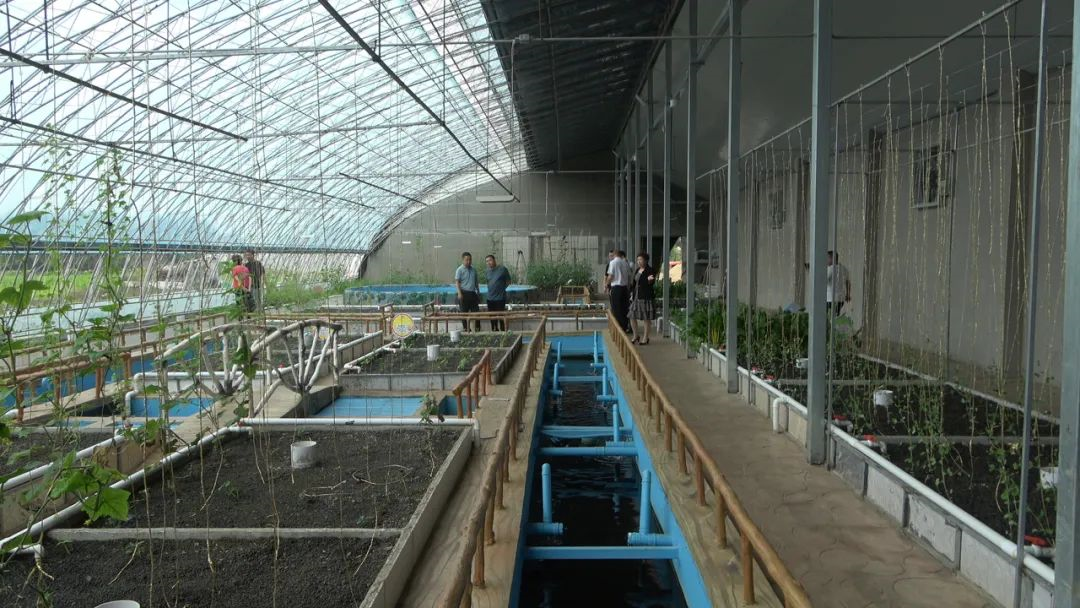 20220908153219261.png 20220908153219261.png