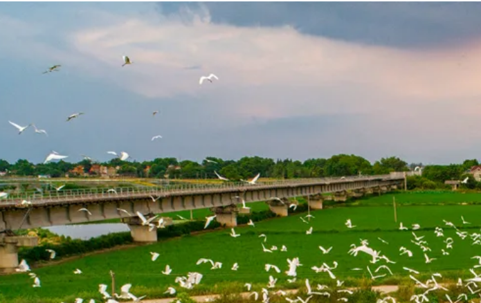 安徽生态环境质量持续改善 多项指标达有监测记录以来最好水平