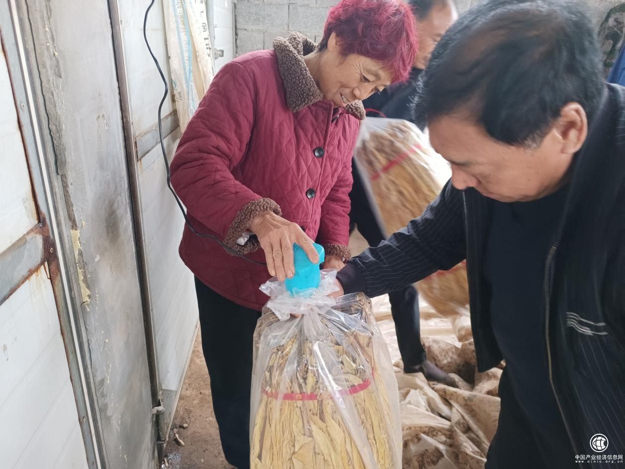 郭银平：用“三件套”给烟叶“精包装”