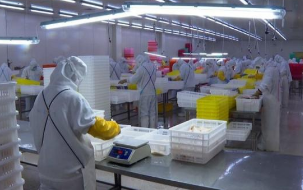 辽宁省印发实施方案 到2025年建设100个左右产销冷链集配中心