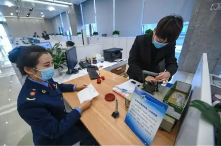 市场主体结构持续优化 创新赋能产业发展