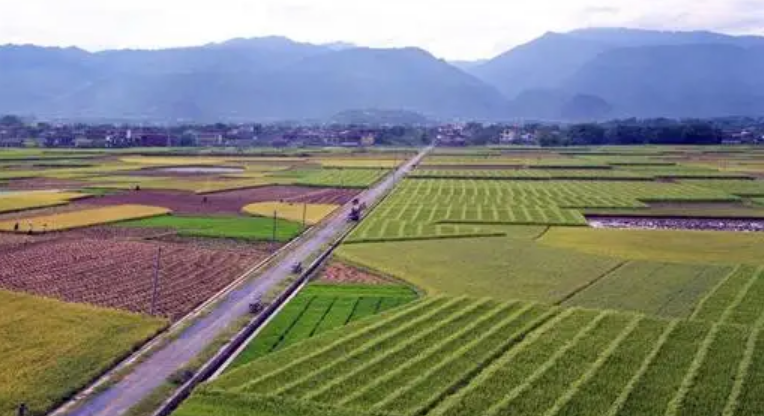 广西规范农田建设补助资金管理