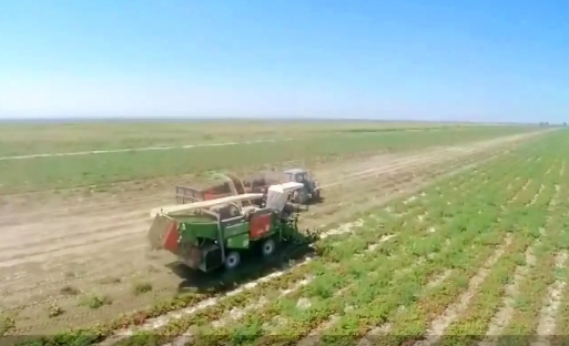 2022年新疆建成近500万亩高标准农田