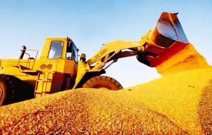 主产区粮企收购超6300万吨 秋粮收购全面有序推进