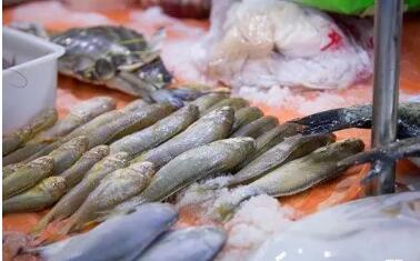 水产品消费多元化驱动产业新变革