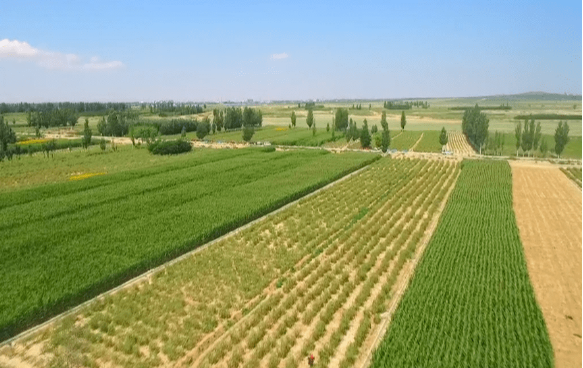 宁夏严格“进出平衡”严守耕地红线