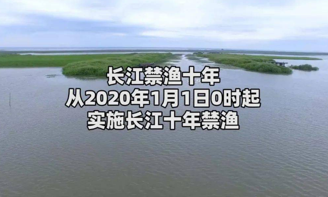 长江十年禁渔全面启动以来取得扎实成效