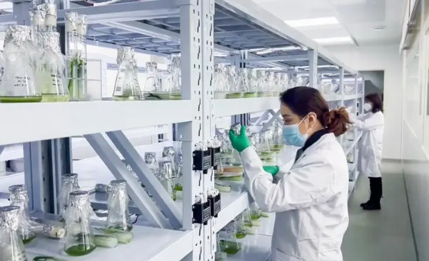 新疆高新技术企业总量超千家