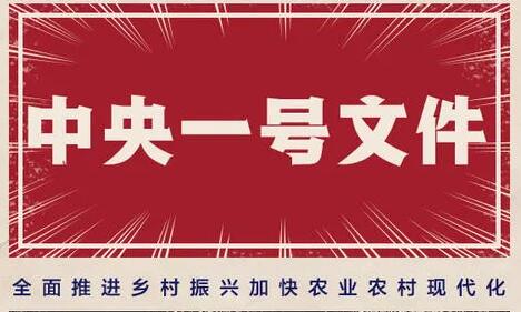 凝心聚力全面推进乡村振兴——农业农村部负责人解读中央一号文件