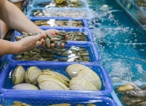 现蒸现吃迎合大众需求 蒸汽海鲜未来可期