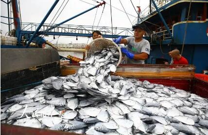 往岸上走 往深海走 往休闲渔业走 海南渔业经济发展持续向好