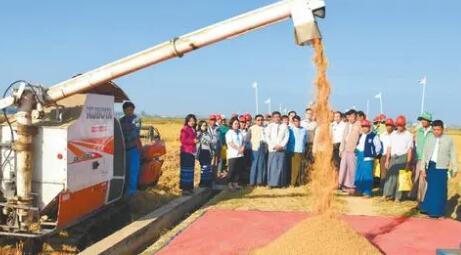 云天化集团深耕缅甸市场 打造东南亚“肥粮联动”新通道