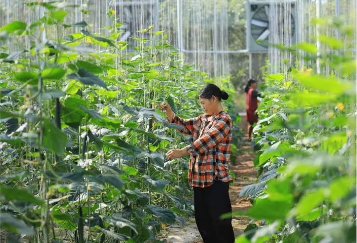 重庆智慧农业跑出加“数”度