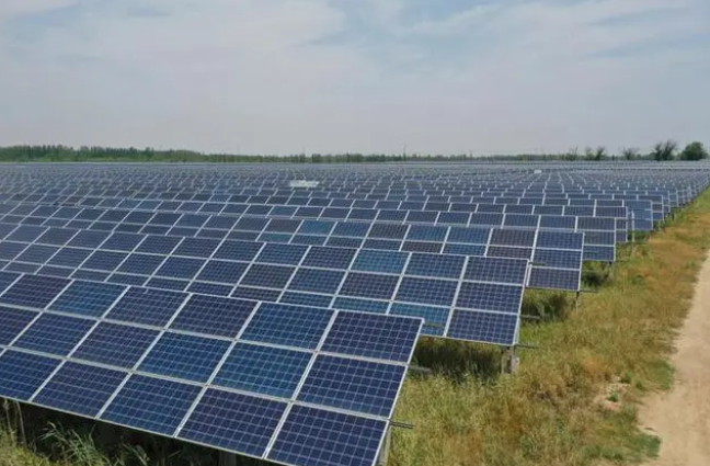 板上光伏发电 板下特色种植——山东点亮“绿色经济”