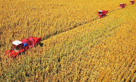 吉林拓宽粮食产业高质量发展“新粮道”
