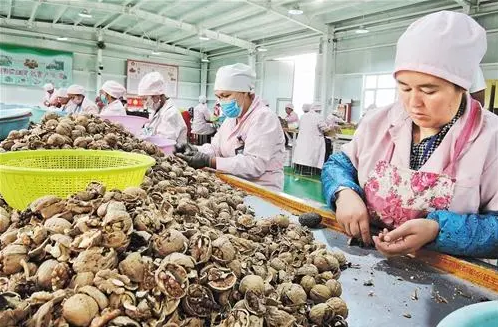 新疆和田：劳动密集型产业托举“稳稳的幸福”