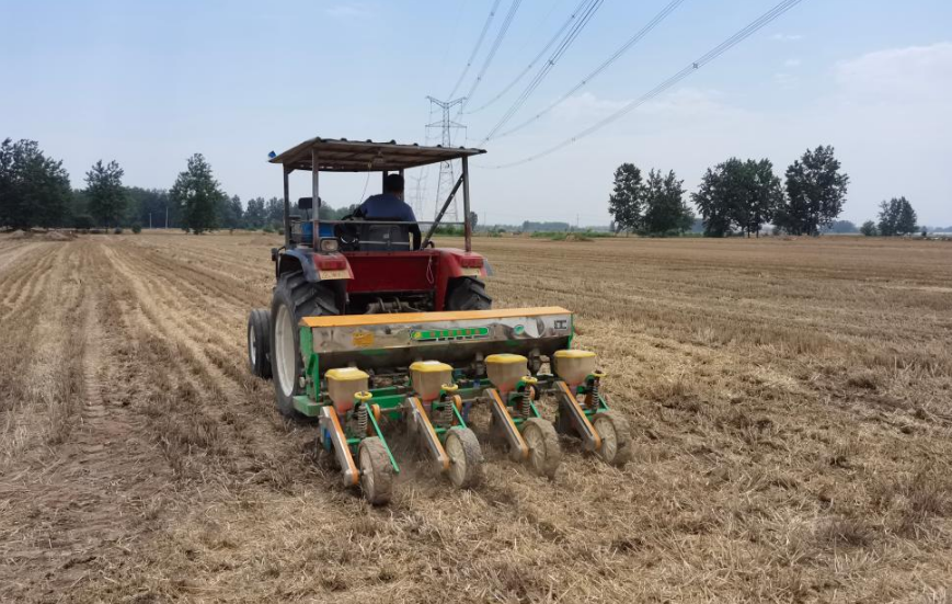 做好“加减法” 增粮有实招——部分粮食主产区一线扫描