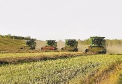 农业农村部启动实施农垦两大行动支撑粮油产能提升