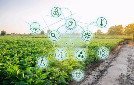 今年辽宁省10个县开展绿色种养循环农业试点