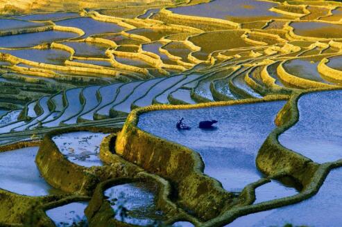 内蒙古鄂尔多斯市让荒山坡地变梯田 美稷杂粮促振兴