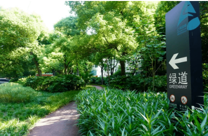 为城市增加“可穿行的绿洲”——上海推进绿色空间开放共享观察