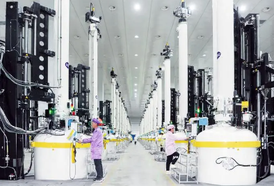 打造千亿产业集群 云南楚雄做大做强“滇中硅谷”