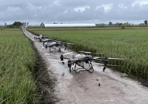 黑龙江五常大米产区加快恢复农业生产