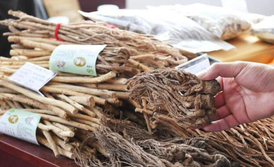 甘肃中药材对外贸易国家和地区达11个