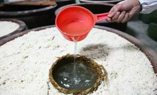 安徽米酒“酿出”乡村振兴“好滋味”