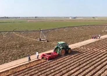 我国秋收作物开始陆续成熟 各地喜迎丰收季