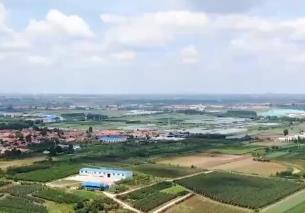 持续在耕地和种子上发力 山东已建成7400多万亩高标准农田