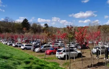 吉林“双节”旅游“爆火” 收入创历史新高