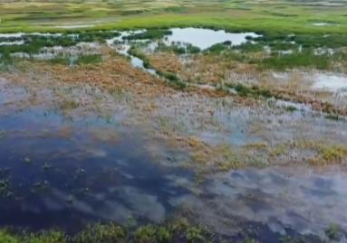 各地采取多项措施推进湿地保护与发展 生态保护修复成效显著