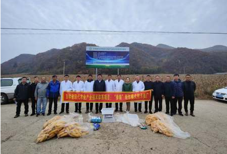 增产32%！ 吉林省“参粮轮作”示范区增产效果明显