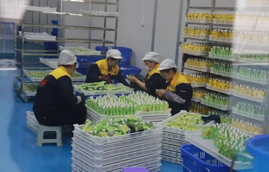 贵州安顺打造百亿级医药及旅游食品产业集群