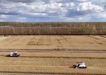 各地确保秋粮颗粒归仓 秋冬种进展顺利
