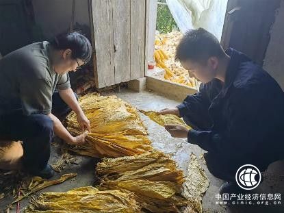 湖北武汉：溯本求源，更高更远