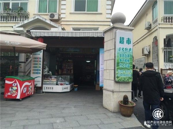 浙江安吉：深挖特色资源 共建农网终端