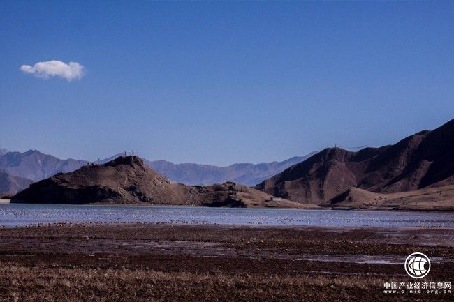 从文化宝库中探骊得珠，西藏羊达助力乡村振兴高质量发展