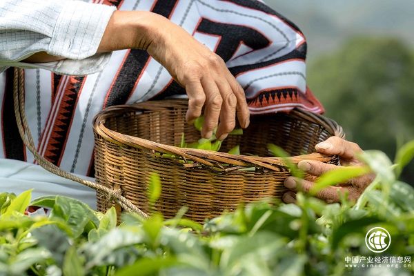 1701657510147896.jpg 图片3.jpg